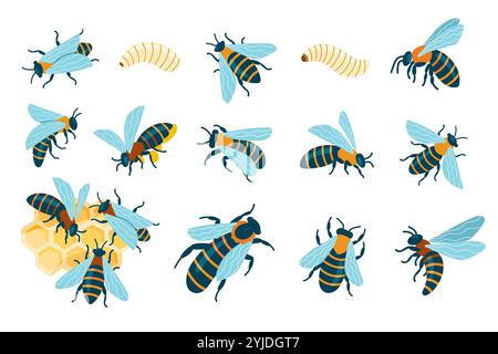 Abeilles de dessin animé insectes. Insecte rayé volant mignon, guêpe bourdonnante drôle et abeille, petit insecte ailé joyeux avec des piqûres. Ensemble isolé de vecteur Illustration de Vecteur