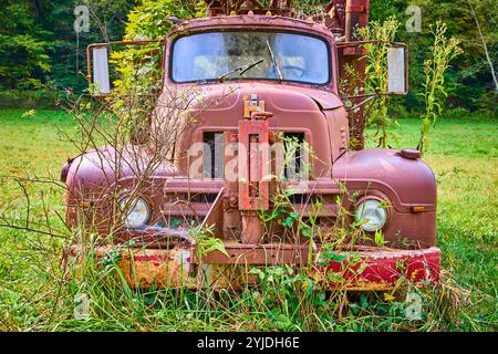 Nature Reclaims Vintage Truck in Lush Ohio Field Eye-Level View Banque D'Images