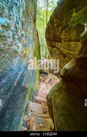 Cantwell Cliffs Stone Staircase Forest Pathway vue aérienne d'inclinaison Banque D'Images