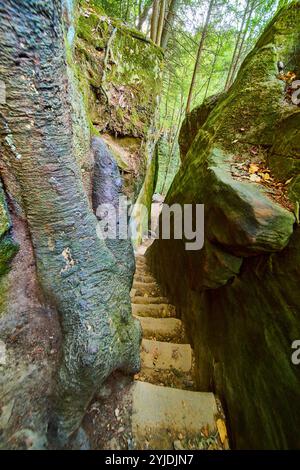 Cantwell Cliffs escalier à travers Mossy Rocks regard aérien vers le bas Banque D'Images