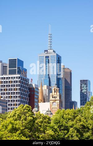 Les gratte-ciel du quartier central des affaires de Melbourne, comme on le voit à travers les arbres depuis Alexandra Gardens Park. Melbourne, Australie Banque D'Images