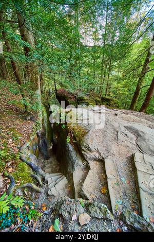 Forest Stairway à Cantwell Cliffs Ohio Elevated View Banque D'Images