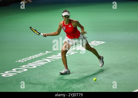 Malaga, Malaga, Espagne. 14 novembre 2024. ENA Shibahara, du Japon, revient en avant dans son 1er match lors de la finale de la Coupe Billie Jean King 2024 - Tennis féminin (crédit image : © Mathias Schulz/ZUMA Press Wire) USAGE ÉDITORIAL SEULEMENT! Non destiné à UN USAGE commercial !/Alamy Live News Banque D'Images