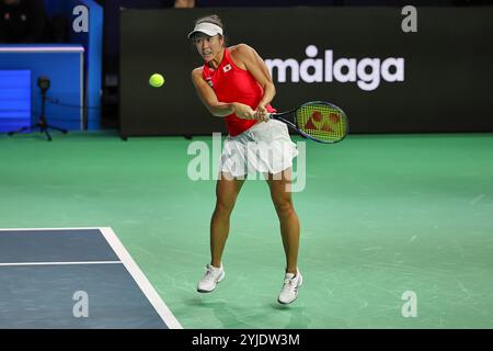 Malaga, Malaga, Espagne. 14 novembre 2024. ENA Shibahara du Japon, revient avec le revers lors de la finale de la Coupe Billie Jean King 2024 - Tennis féminin (crédit image : © Mathias Schulz/ZUMA Press Wire) USAGE ÉDITORIAL SEULEMENT! Non destiné à UN USAGE commercial !/Alamy Live News Banque D'Images