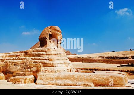 Le Grand Sphinx de Gizeh, Die grosse Sphinx von Gizeh Banque D'Images