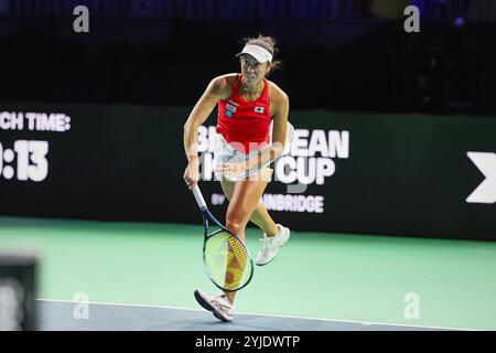 Malaga, Malaga, Espagne. 14 novembre 2024. ENA Shibahara du Japon, sert lors de la finale de la Coupe Billie Jean King 2024 - Tennis féminin (crédit image : © Mathias Schulz/ZUMA Press Wire) USAGE ÉDITORIAL SEULEMENT! Non destiné à UN USAGE commercial !/Alamy Live News Banque D'Images