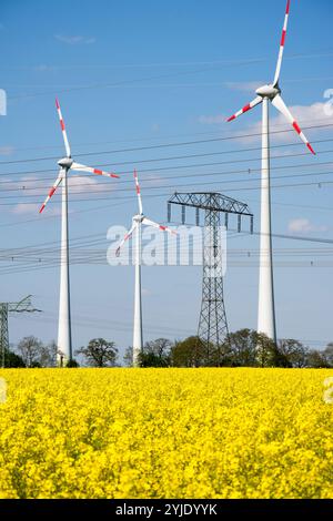 Poteau électrique et éolienne dans les champs de colza, Brandebourg, République fédérale d'Allemagne, Strommât und Windrad im Rapsfeld, Bundesrepublik Deutschland Banque D'Images