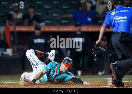 HERMOSILLO, MEXIQUE - 13 NOVEMBRE : Jose Cardona marque une course sur un jeu de balayage à Home plate en troisième manche, lors d'un match de Liga ARCO Mexicana del Pacifico à l'Estadio Fernando Valenzuela le 13 novembre 2024 à Hermosillo, Mexique. (Photo de Luis Gutierrez/Norte photo) Banque D'Images