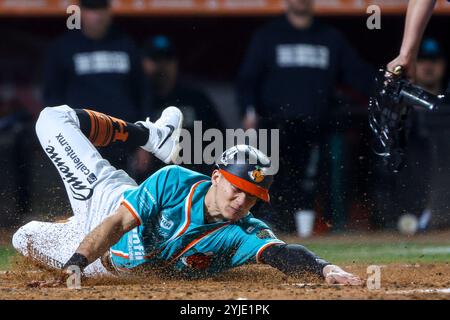 HERMOSILLO, MEXIQUE - 13 NOVEMBRE : Jose Cardona marque une course sur un jeu de balayage à Home plate en troisième manche, lors d'un match de Liga ARCO Mexicana del Pacifico à l'Estadio Fernando Valenzuela le 13 novembre 2024 à Hermosillo, Mexique. (Photo de Luis Gutierrez/Norte photo) Banque D'Images