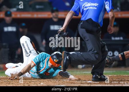 HERMOSILLO, MEXIQUE - 13 NOVEMBRE : José Cardona de Los Naranjeros de Hermosillo en anota carrera en una jugada de Barrida en el Home plante en la tercera entrada , lors d'un match Liga ARCO Mexicana del Pacifico à l'Estadio Fernando Valenzuela le 13 novembre 2024 à Hermosillo, Mexique. (Photo de Luis Gutierrez/Norte photo) Banque D'Images