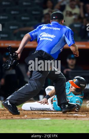 HERMOSILLO, MEXIQUE - 13 NOVEMBRE : José Cardona de Los Naranjeros de Hermosillo en anota carrera en una jugada de Barrida en el Home plante en la tercera entrada , lors d'un match Liga ARCO Mexicana del Pacifico à l'Estadio Fernando Valenzuela le 13 novembre 2024 à Hermosillo, Mexique. (Photo de Luis Gutierrez/Norte photo) Banque D'Images