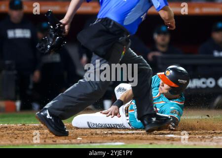 HERMOSILLO, MEXIQUE - 13 NOVEMBRE : José Cardona de Los Naranjeros de Hermosillo en anota carrera en una jugada de Barrida en el Home plante en la tercera entrada , lors d'un match Liga ARCO Mexicana del Pacifico à l'Estadio Fernando Valenzuela le 13 novembre 2024 à Hermosillo, Mexique. (Photo de Luis Gutierrez/Norte photo) Banque D'Images