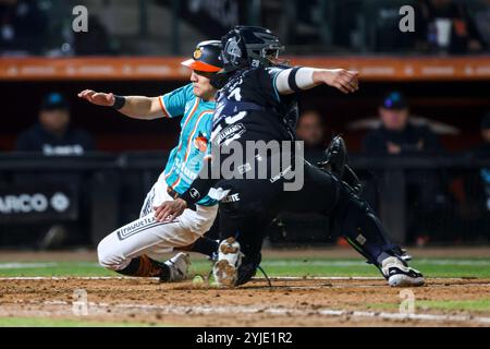 HERMOSILLO, MEXIQUE - 13 NOVEMBRE : Jose Cardona de Los Naranjeros de Hermosillo marque une course sur un jeu de balayage à domicile avec le receveur Ricardo Valenzuela des Sultanes de Monterrey en troisième manche, lors d'un match de Liga ARCO Mexicana del Pacifico à l'Estadio Fernando Valenzuela le 13 novembre 2024 à Hermosillo, Mexique. (Photo de Luis Gutierrez/Norte photo) Banque D'Images