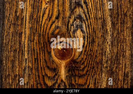 Gros plan d'une planche de bois au beau grain, Nahaufnahme eines Holzbretts mit schöner Maserung Banque D'Images