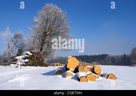 Exploitation forestière en hiver, piles de bois au bord de la route., Holzeinschlag im Winter, Holzstapel am Strassenrand. Banque D'Images