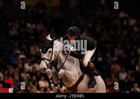 Platz Hendrik von Eckermann (SWE) auf Calizi Preis der Firma XXL-Sicherheit Zeitspringpruefung International Qualifikation zum Stuttgart German Masters GER, Stuttgart German Masters 2024, 38. internationale Reitturnier, 14.11.2024 Foto : Eibner-Pressefoto/Roger Buerke Banque D'Images