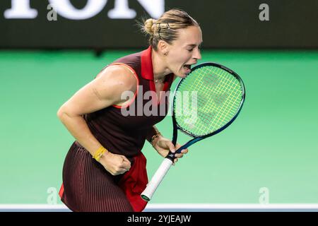 Malaga, Espagne. 14 novembre 2024. MALAGA, ESPAGNE - 14 NOVEMBRE : Ana Bogdan de Roumanie avant la finale de la Coupe Billie Jean King au Palacio de Deportes Jose Maria Martin Carpena le 14 novembre 2024 à Malaga, Espagne. (Photo de Jose-Luis Contreras/MB Media/MB Media) crédit : MB Media solutions/Alamy Live News Banque D'Images