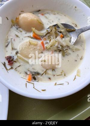 Soupe de légumes polonaise avec pommes de terre et crème Banque D'Images