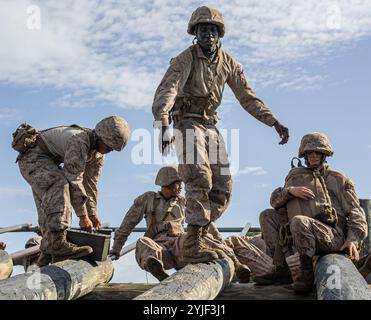 Les recrues de la compagnie Lima, 3e bataillon d'entraînement des recrues, complètent le creuset sur le dépôt de recrues du corps des Marines Parris Island, S.C. le 14 novembre 2024. Le Crucible est un événement culminant de 54 heures au cours duquel les 11 semaines précédentes de formation sont mises à l'épreuve. (Photo du corps des Marines des États-Unis par le caporal Ayden Cassano) Banque D'Images