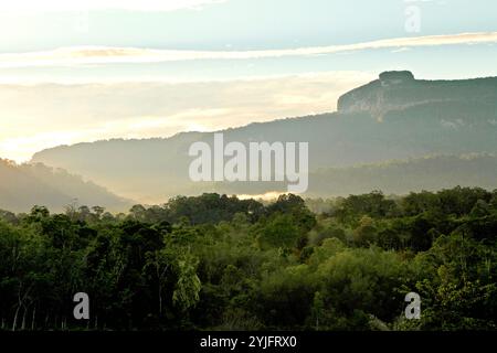 Une vue sur le paysage de la forêt tropicale et Bukit Tilung, une colline sacrée selon les habitants, à Nanga Raun, Kalis, Kapuas Hulu, Kalimantan Ouest, Indonésie. Banque D'Images