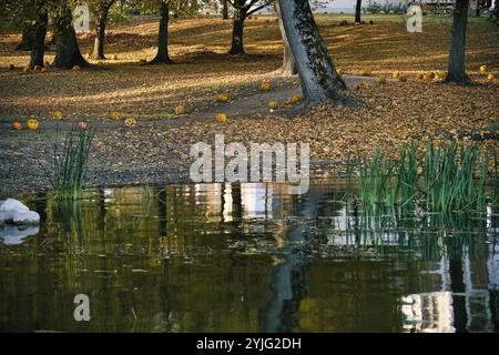 Scène de parc d'automne avec des citrouilles dispersées parmi les feuilles tombées colorées, sous les arbres, avec des reflets dans un étang calme. Banque D'Images