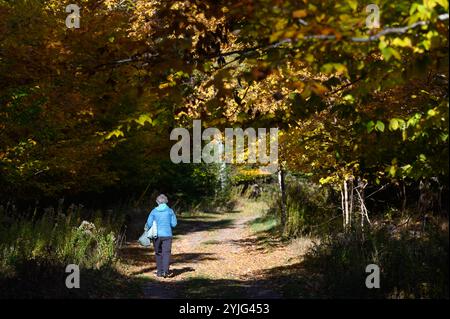 Femme marchant au milieu du feuillage d'automne sur Chamcook Mountain Trail, selon Andrews, Nouveau-Brunswick, Canada. Banque D'Images