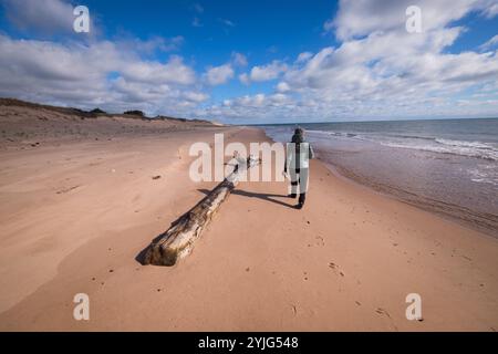 Femme se promène le long des sables chantants de la plage au parc provincial Basin Head, Île-du-Prince-Édouard, Canada. Banque D'Images