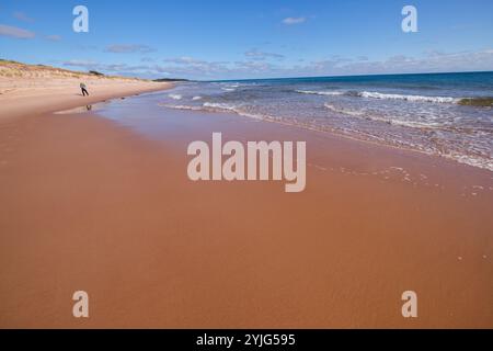 Femme se promène le long des sables chantants de la plage au parc provincial Basin Head, Île-du-Prince-Édouard, Canada. Banque D'Images