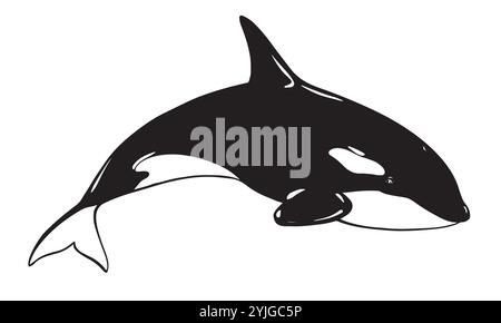 Logo vectoriel d'animal marin d'épaulard. Illustration stylisée d'Orca. Épaulard ou baleine à dents, prédateur marin sautant hors de l'eau avec une queue courbée. Dessiné à la main, imitation de la technique de gravure. Illustration de Vecteur