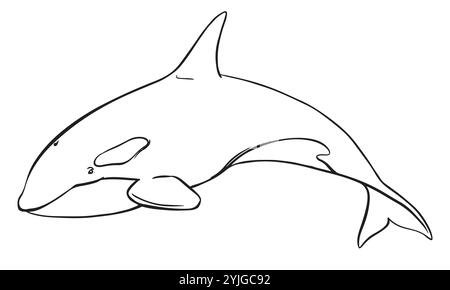 Logo vectoriel de l'épaulard animal marin. Illustration linéaire stylisée d'Orca. Épaulard, prédateur marin sautant hors de l'eau avec une queue courbée. Dessiné à la main, imitation de la technique de gravure. Illustration de Vecteur