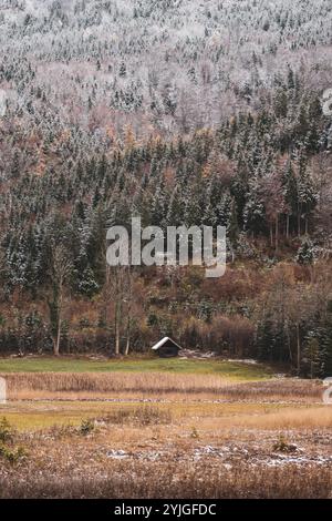 Wetterumschung und Neuschnee auf der Südseite des Gaisberges, rund um das Egelseemoor und dessen umliegenden Wälder im Herbst AM 14.11.2024. // changements climatiques et neige fraîche sur le versant sud du Gaisberg, autour de l'Egelseemoor et de ses forêts environnantes en automne le 14 novembre 2024. - 20241114 PD10359 crédit : APA-PictureDesk/Alamy Live News Banque D'Images