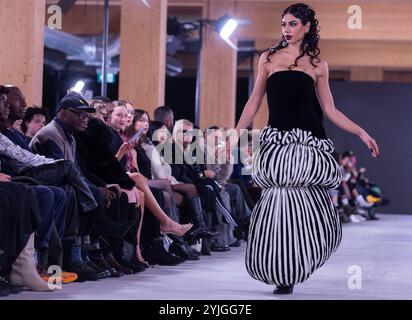 Toronto, Canada. 14 novembre 2024. Un mannequin présente une création à la Fashion Art Toronto's Fashion week automne/hiver 2024 à Toronto, Canada, le 14 novembre 2024. La semaine de la mode a débuté ici jeudi et durera jusqu'au 17 novembre. Crédit : Zou Zheng/Xinhua/Alamy Live News Banque D'Images