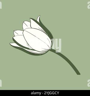 Fleur de tulipe unique avec fond vert sauge Illustration de Vecteur