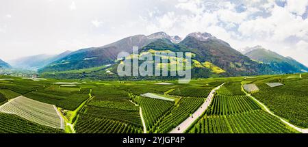 SILANDRO, ITALIE – 28 AOÛT 2024 : le serein Val Venosta, dans le Tyrol du Sud, avec ses prairies verdoyantes et ses montagnes environnantes, offre une vie éblouissante Banque D'Images