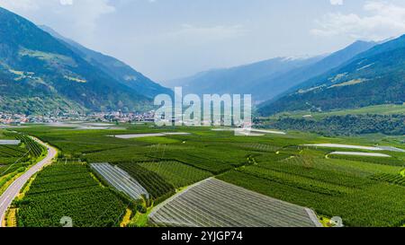 SILANDRO, ITALIE – 28 AOÛT 2024 : le serein Val Venosta, dans le Tyrol du Sud, avec ses prairies verdoyantes et ses montagnes environnantes, offre une vie éblouissante Banque D'Images