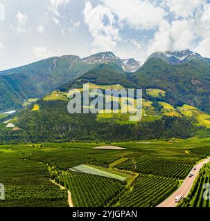 SILANDRO, ITALIE – 28 AOÛT 2024 : le serein Val Venosta, dans le Tyrol du Sud, avec ses prairies verdoyantes et ses montagnes environnantes, offre une vie éblouissante Banque D'Images