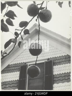 Pignon et pommes. Alfred Stieglitz ; américain, 1864-1946. Date : 1922. Dimensions : 11,4 x 9,1 cm (image/papier/première monture) ; 35,6 x 28,1 cm (deuxième monture). Imprimé argenté gélatine. Origine : États-Unis. Musée : Chicago Art Institute, FLORENCIA, États-Unis. Banque D'Images