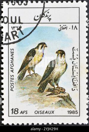 Timbre-poste oblitéré imprimé par l'Afghanistan, qui montre le faucon pèlerin (Falco peregrinus), vers 1985 Banque D'Images