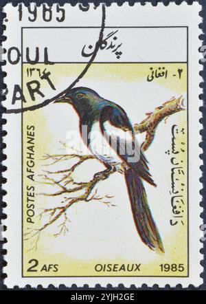 Timbre-poste oblitéré imprimé par l'Afghanistan, qui montre la Magpie eurasienne (Pica pica), vers 1985 Banque D'Images