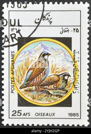 Timbre-poste oblitéré imprimé par l'Afghanistan, qui montre Chukar Partridge (Alectoris chukar), vers 1985 Banque D'Images