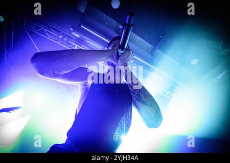 Aarhus, Danemark. 14 novembre 2024. Le groupe de deathcore allemand mental Cruelty donne un concert au Voxhall à Aarhus. Ici, le chanteur Lukas Nicolai est vu en direct sur scène. Banque D'Images