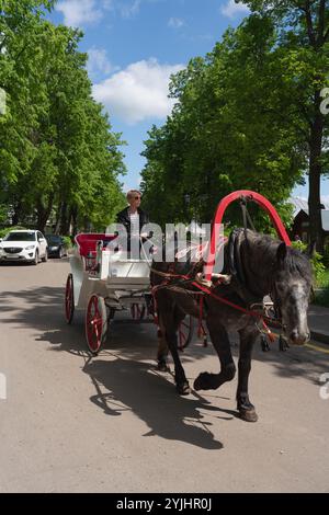 Promenades en calèche dans l'ancienne Souzdal. Banque D'Images