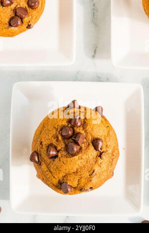 Chips de chocolat muffin simples visibles sur la surface de la citrouille dorée. Banque D'Images