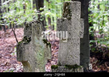 Deux vieilles croix de pierre situées dans une forêt, de vieux monuments en plein air fortement altérés, portant des inscriptions indéchiffrables avec de la mousse poussant dessus. Banque D'Images