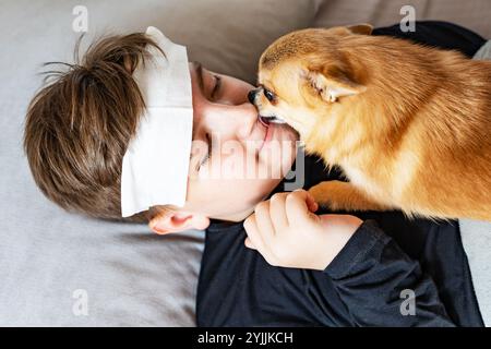 Un garçon de 12 ans est malade, allongé dans son lit avec un chiffon blanc sur le front. Un animal de compagnie est allongé sur sa poitrine — un petit chihuahua au gingembre. Banque D'Images