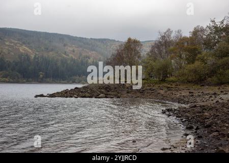 Réservoir Thirlmere en automne Banque D'Images