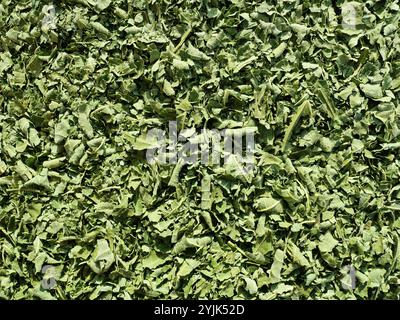 Feuilles de figues fraîches séchées pour préparer un thé sain aux feuilles de figues. Un remède naturel avec de nombreuses propriétés positives. Banque D'Images