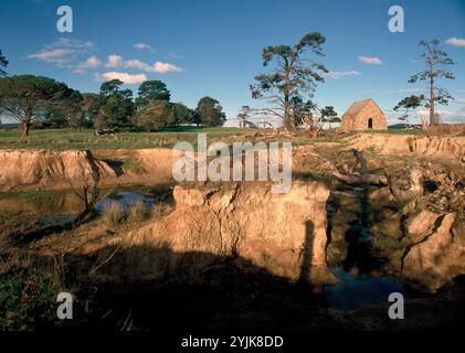 Australie. Nouvelle-Galles du Sud. Région de Goulburn. Paysage avec ancienne grange en pierre. Banque D'Images