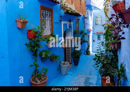 Maisons et rues bleues décorées de pots de fleurs colorés à Chefchaouen, Maroc. Chefchaouen est une petite ville appelée la « ville bleue » Banque D'Images