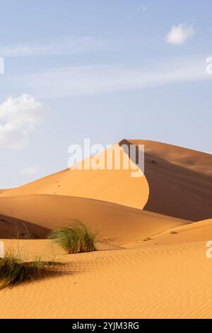 Vue du désert du Sahara au Maroc, Afrique. Le désert du Sahara est le plus grand désert chaud du monde. Banque D'Images